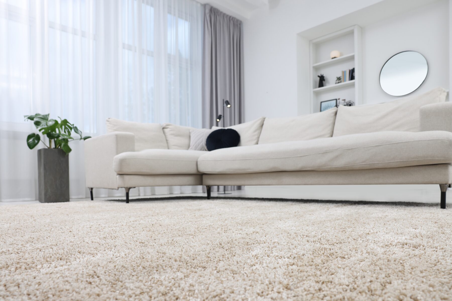 Discover the Best Carpet Colors to Keep Your Floors Looking Immaculate