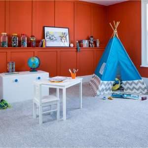 Image of C Inetpub Wwwroot Cormar Carpets B2c Cms Cormarcarpetsb2c V8 Images Import Image 1.jpg